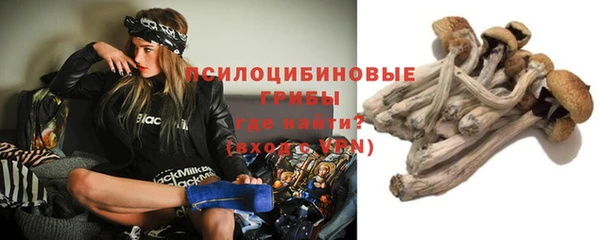 синтетический гашиш Дмитриев