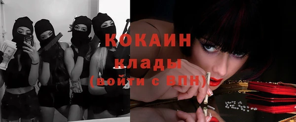 эйфоретик Дмитров