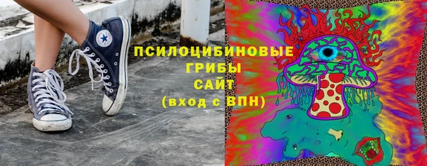 эйфоретик Дмитров