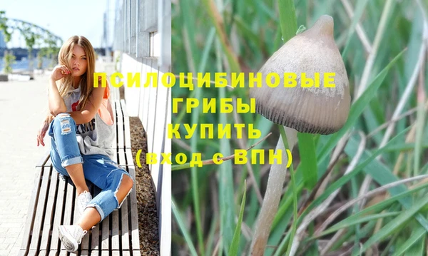 синтетический гашиш Дмитриев