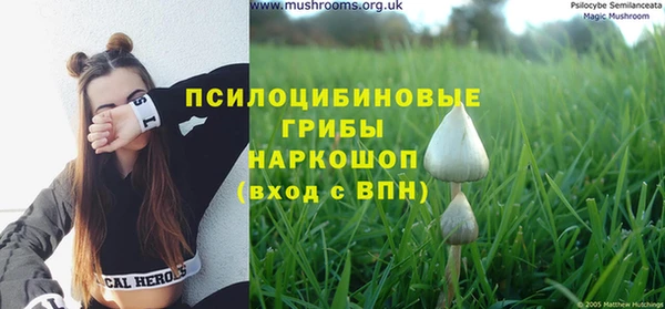 синтетический гашиш Дмитриев